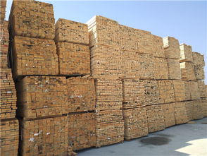 建筑之窗 建材選擇與門窗設計的藝術與科技